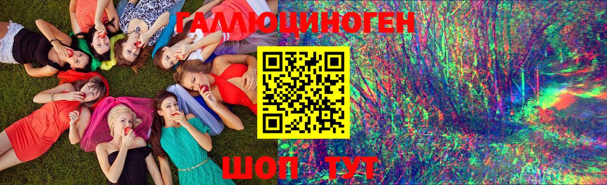 Псилоцибиновые грибы мухоморы Сыктывкар